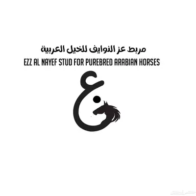 ايوا خيل وعسف وتسمين 8