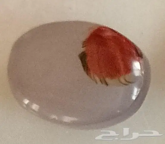 حجر كريم عقيق فيه صورة سمكة 0