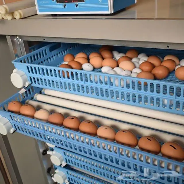 فقاسات جميع الانواع والاحجام 6