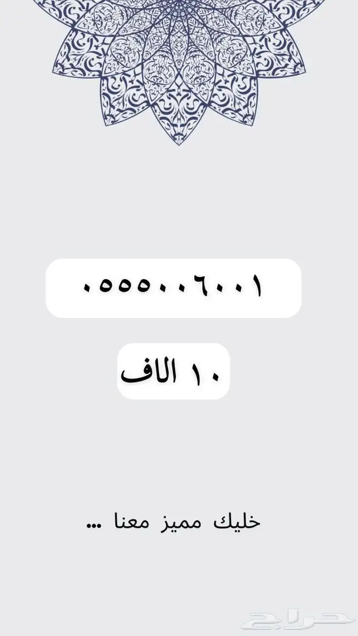 ارقام مميزه والنقل فوري 12