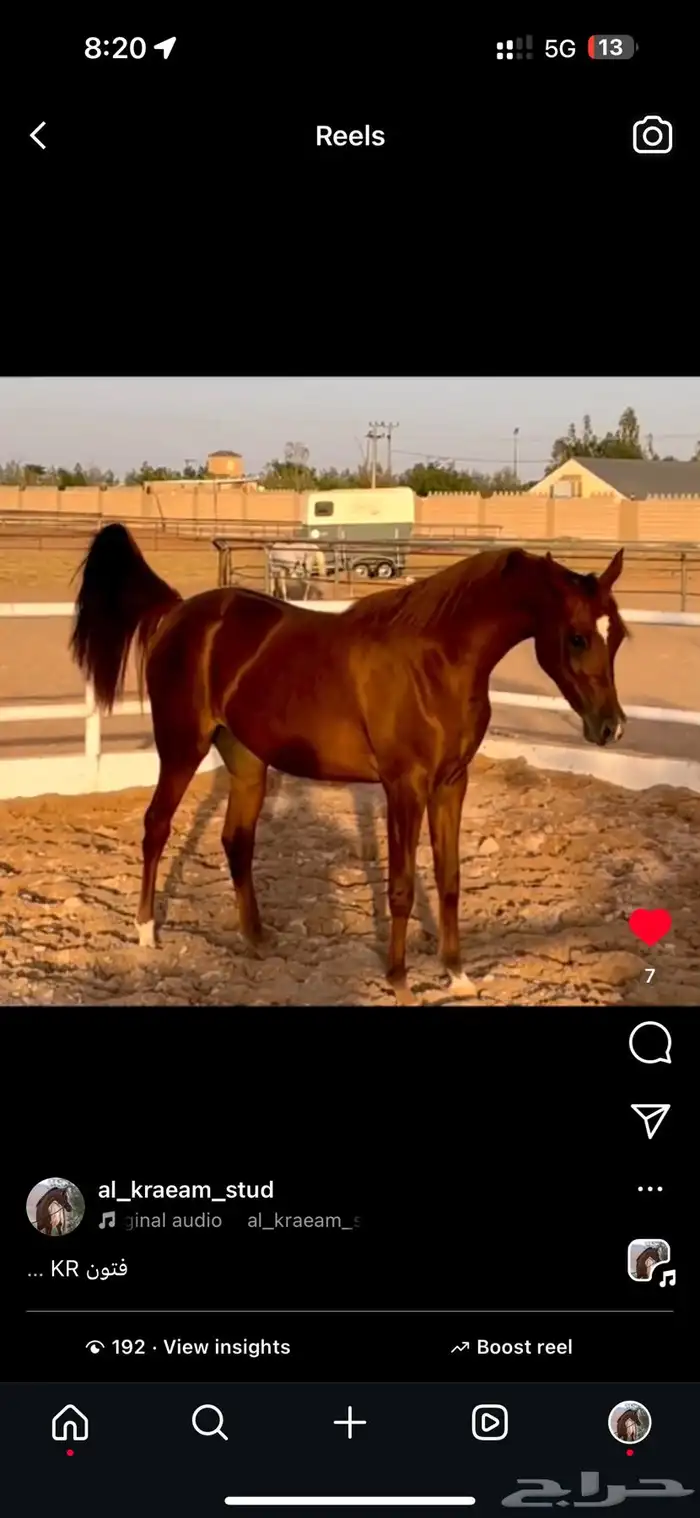 مهر واهو ادهم 2