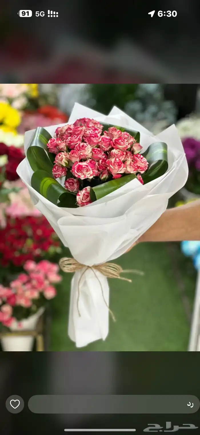 هداياء الاحساء 13