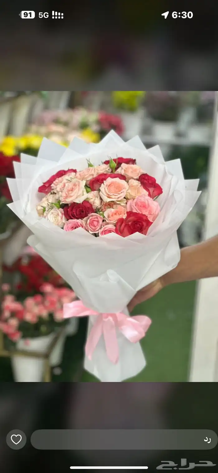 هداياء الاحساء 14