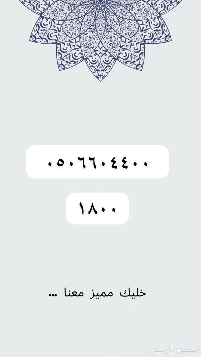 ارقام مميزه والنقل فوري 46