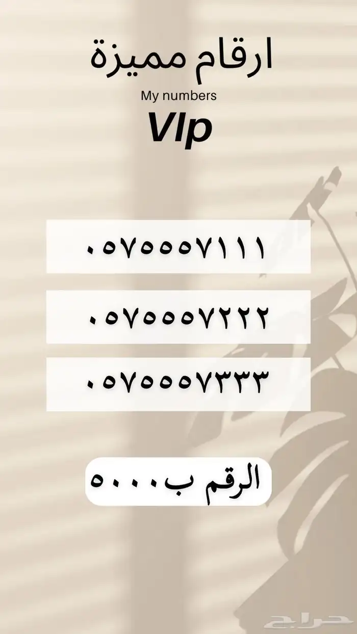 ارقام مميزه والنقل فوري 23