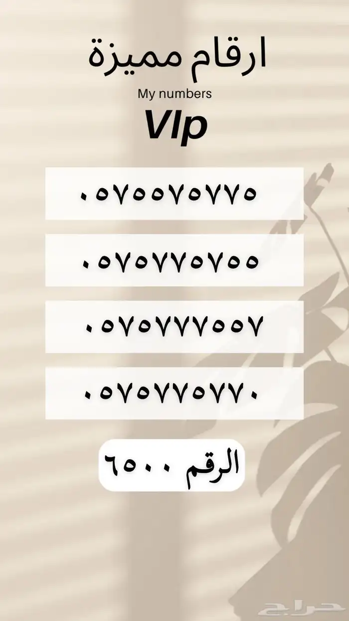 ارقام مميزه والنقل فوري 51