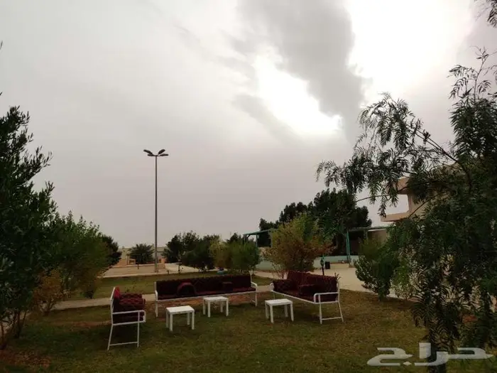 استراحة للايجار اليومي شمال بريده 6