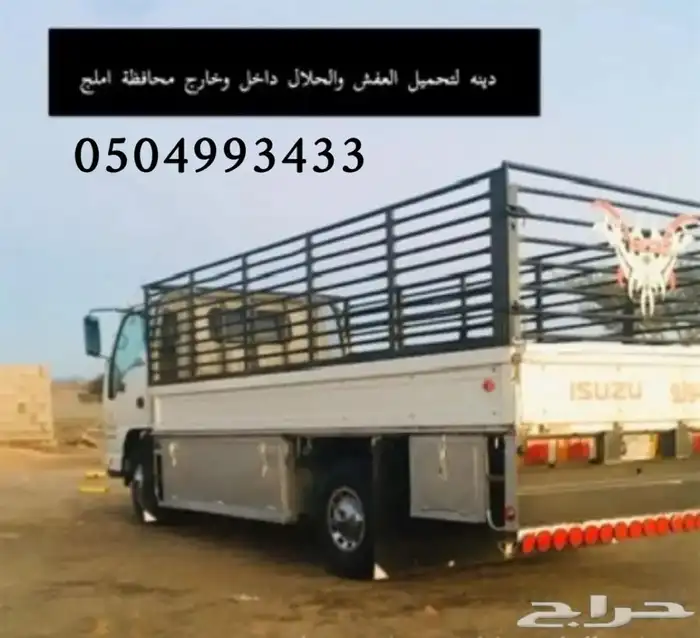 دينه املج 0