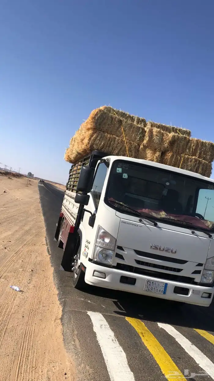 دينا ايسوزو للبيع 8