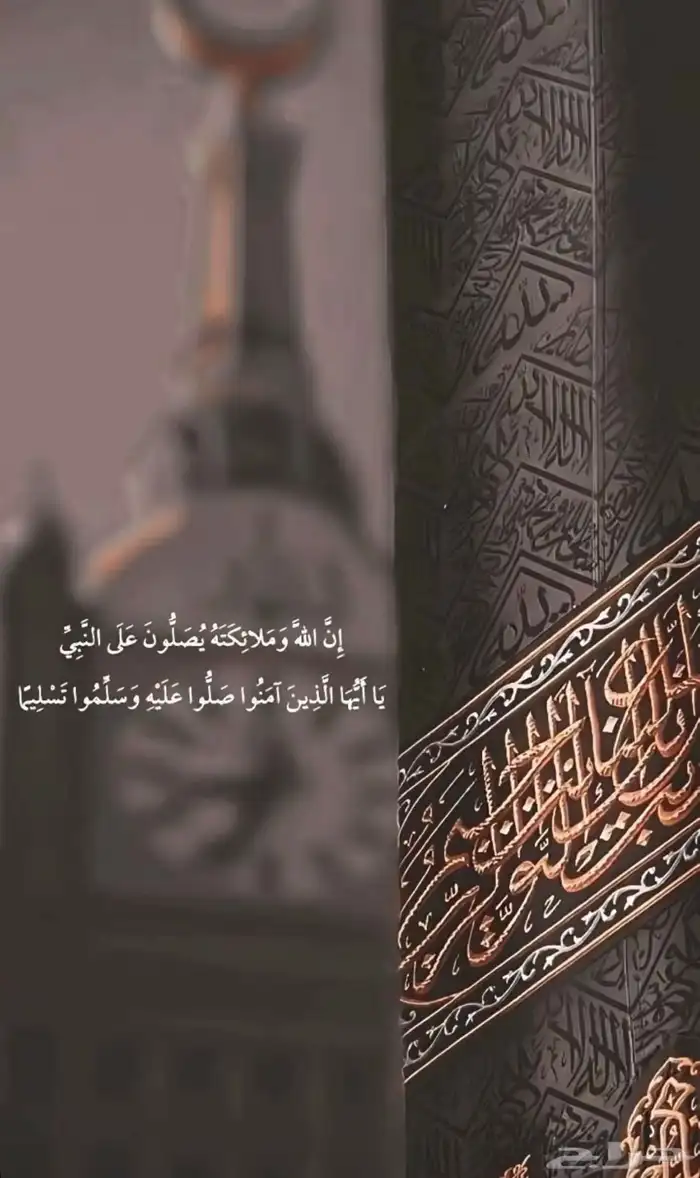 مندوب توصيل 0