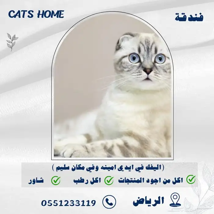 فندقة وايواء حيوانات اليفة 0