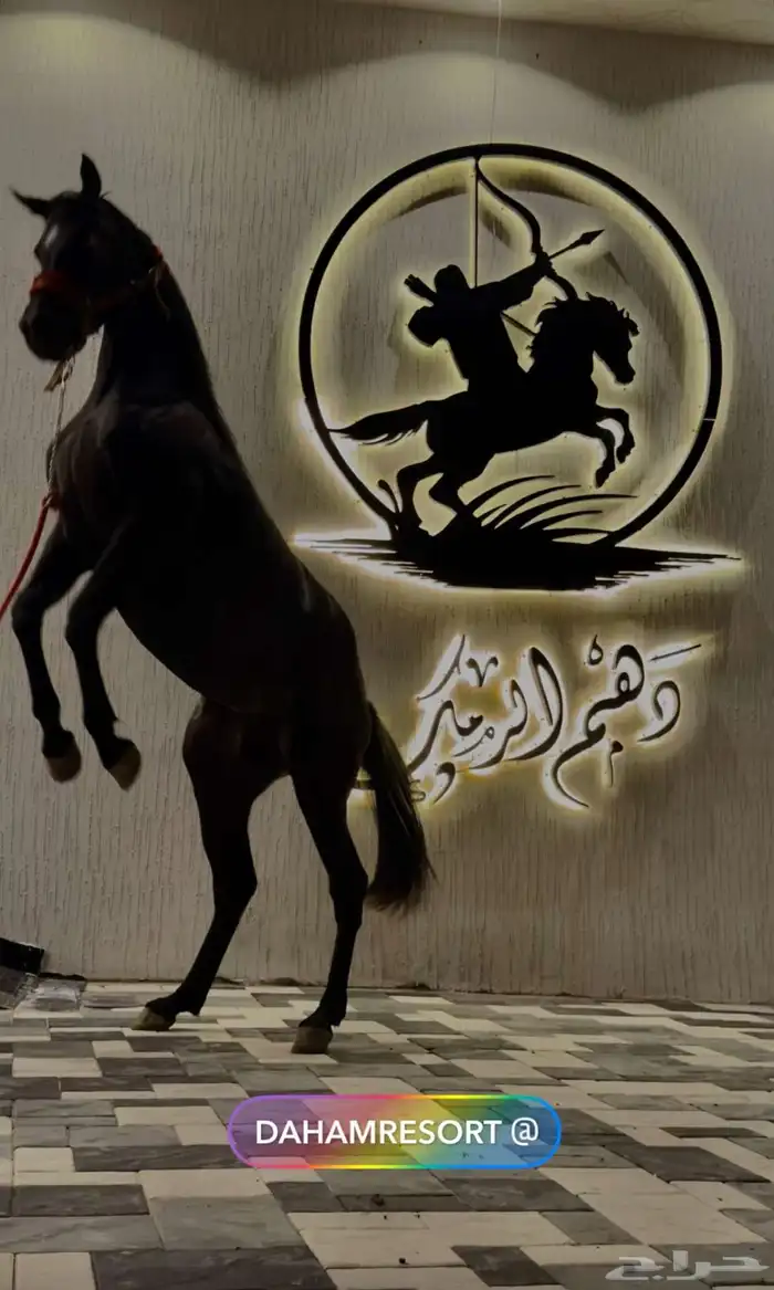 منتجع و مربط دهم الرمك - خميس مشيط 0