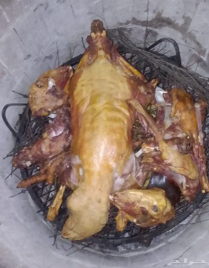 ذبايح مع الطبخ والتوصيل ونوفر ايضا  ذبايح الثلاجه حري وتيوس 0