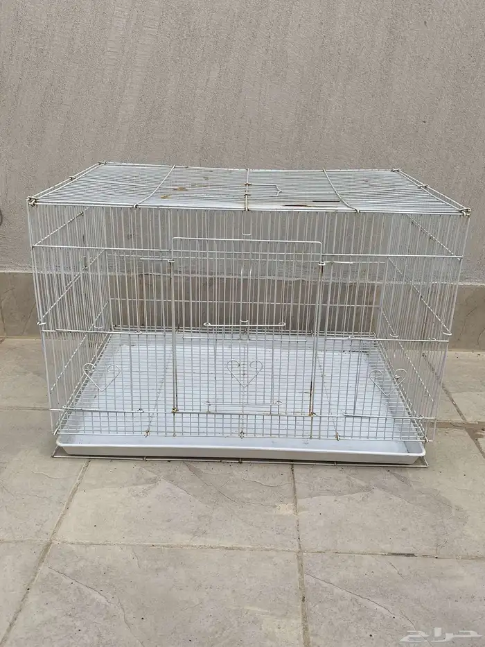 شبك طيور للبيع 0