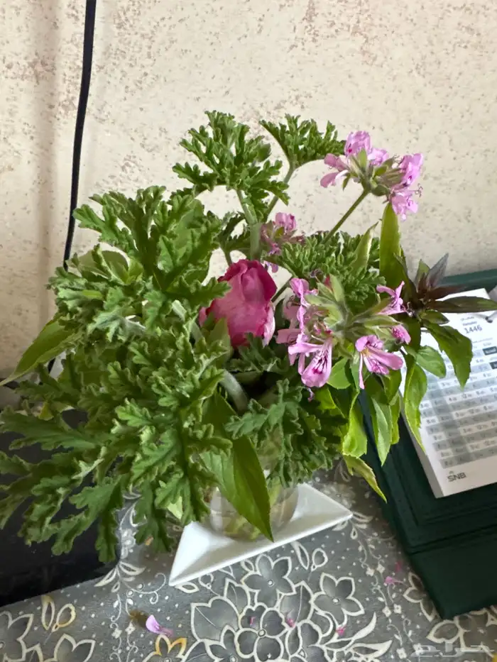 ورد السلطاني وورق عنب طازة وعطرة مدينية وعطرة 3