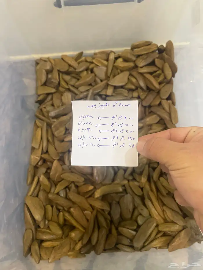 عود محسن طبيعي 0