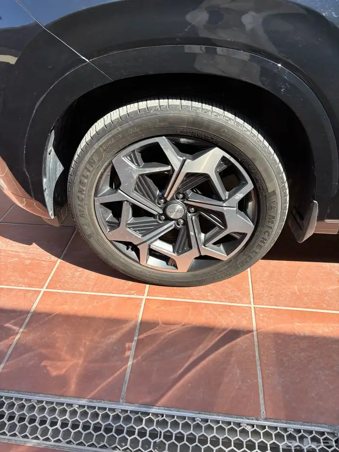 هيونداي باليسيد vip 1