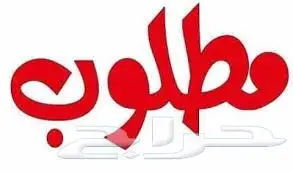 مطلوب إيجار في المخواة 0