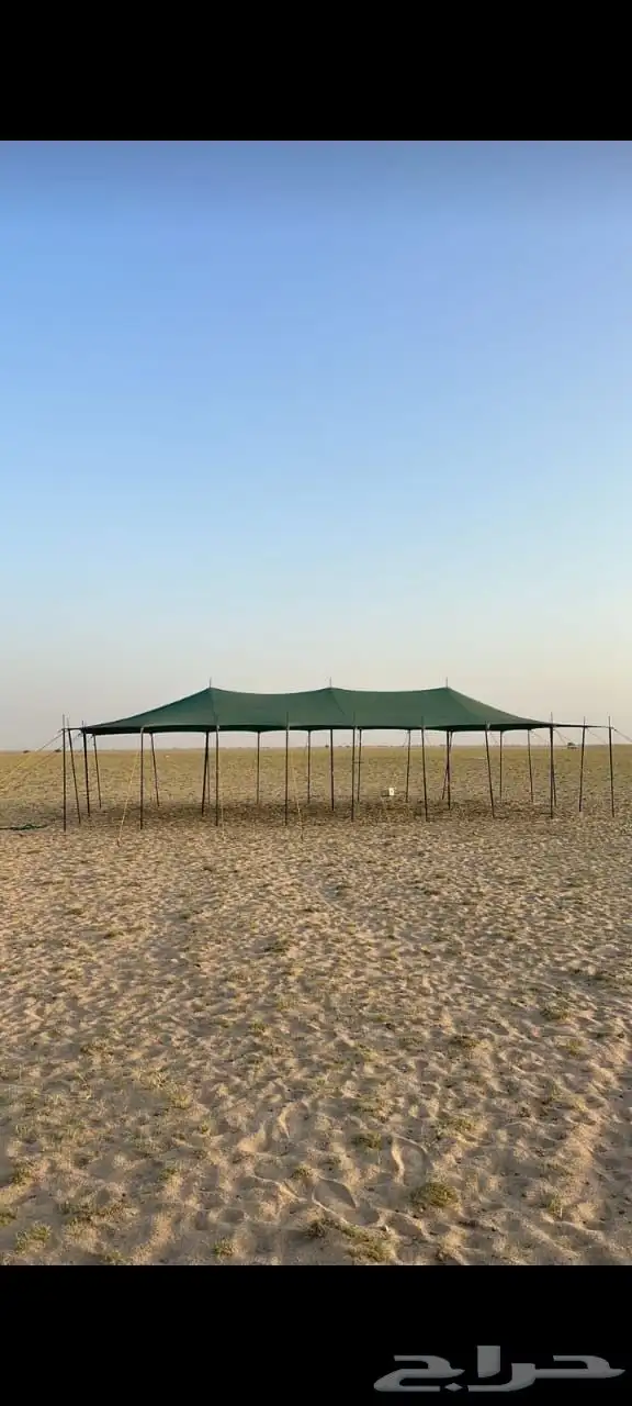 خيام ومظلات اغنام وراويات 5