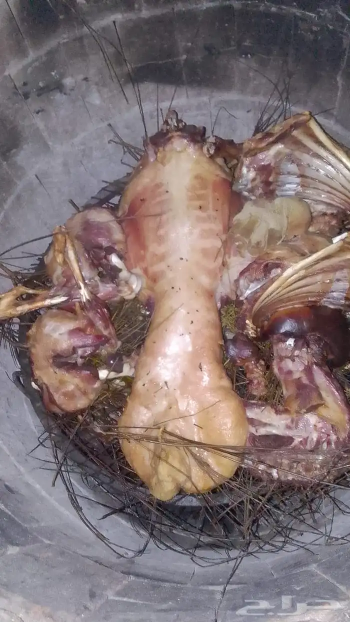 ذبايح مع الطبخ والتوصيل ونوفر ايضا  ذبايح الثلاجه حري وتيوس 1