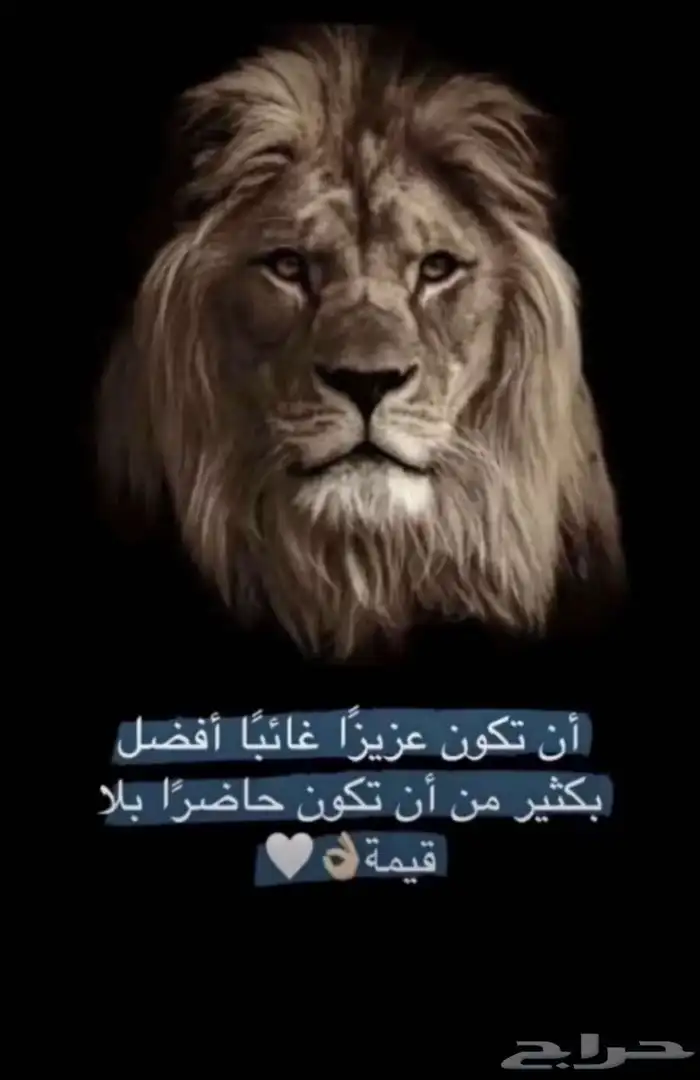 فورد رانجر غمارتين حوض 2007 0