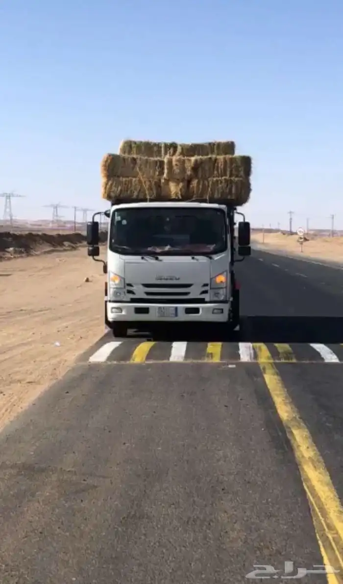 دينا ايسوزو للبيع 5