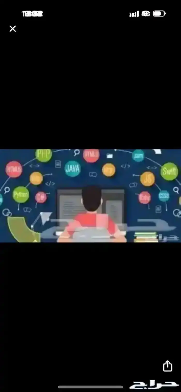 حل جميع الواجبات والاختبارات 0