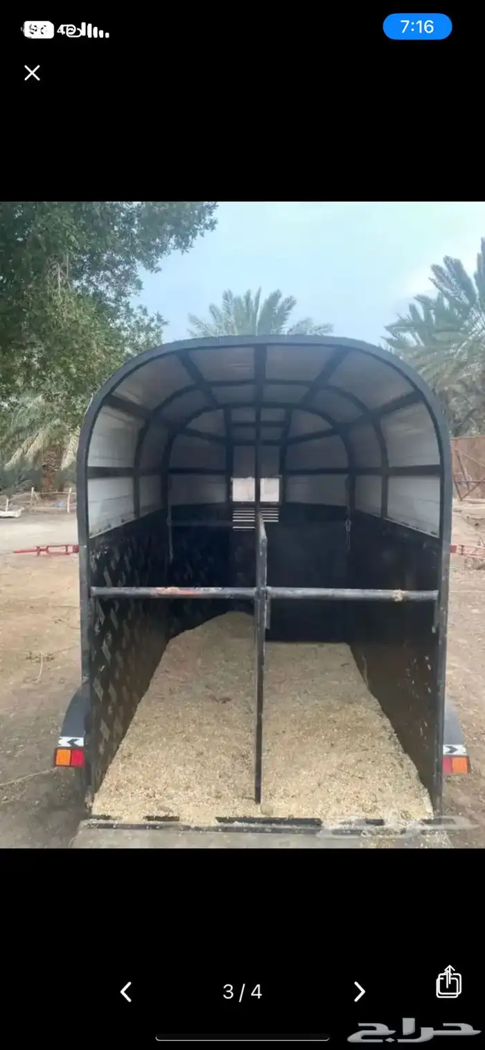 عربه نقل خيل راسين المدينه وضواحيها 2