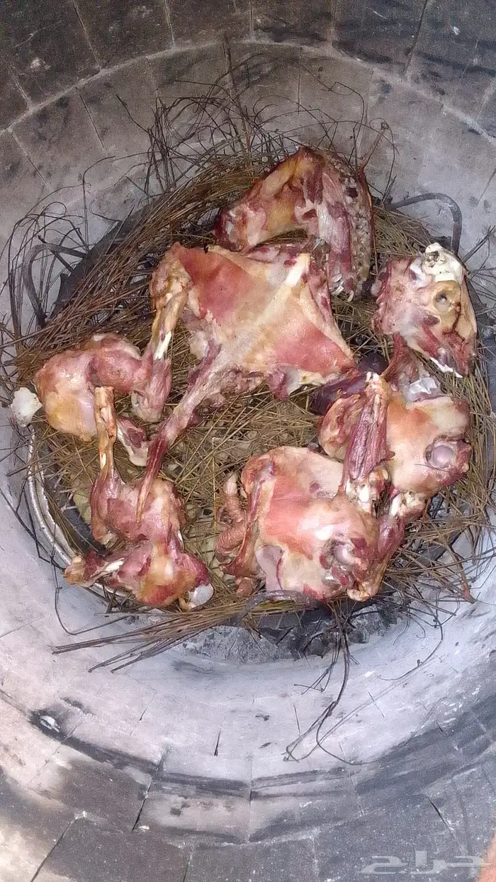 ذبايح مع الطبخ والتوصيل ونوفر ايضا  ذبايح الثلاجه حري وتيوس 2