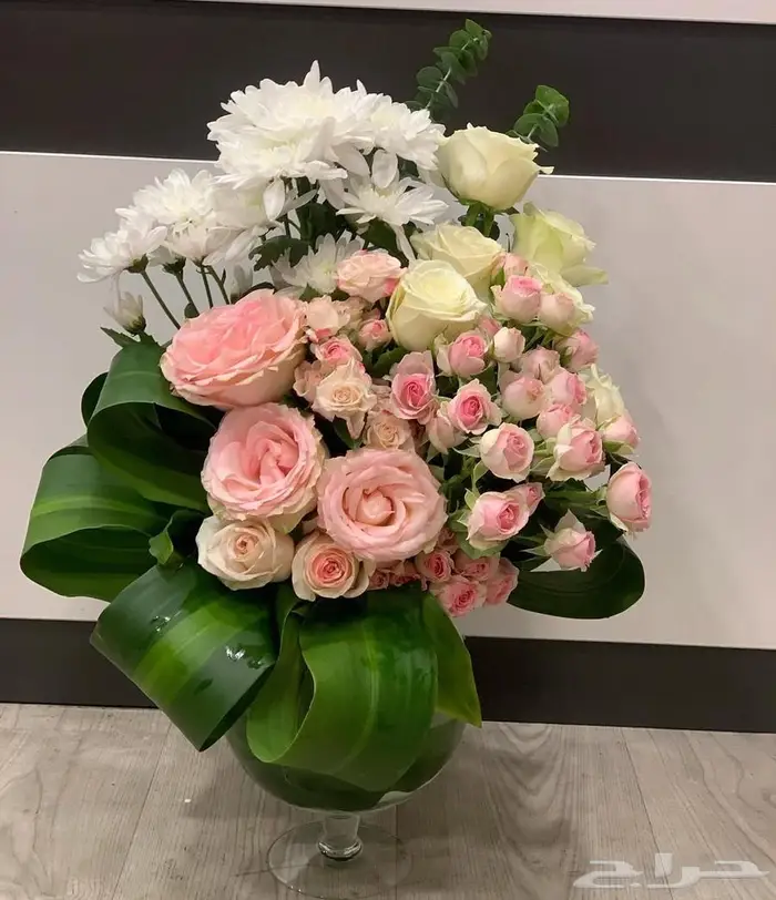 مجموعه جديده من النباتات الداخليه المميزه 10
