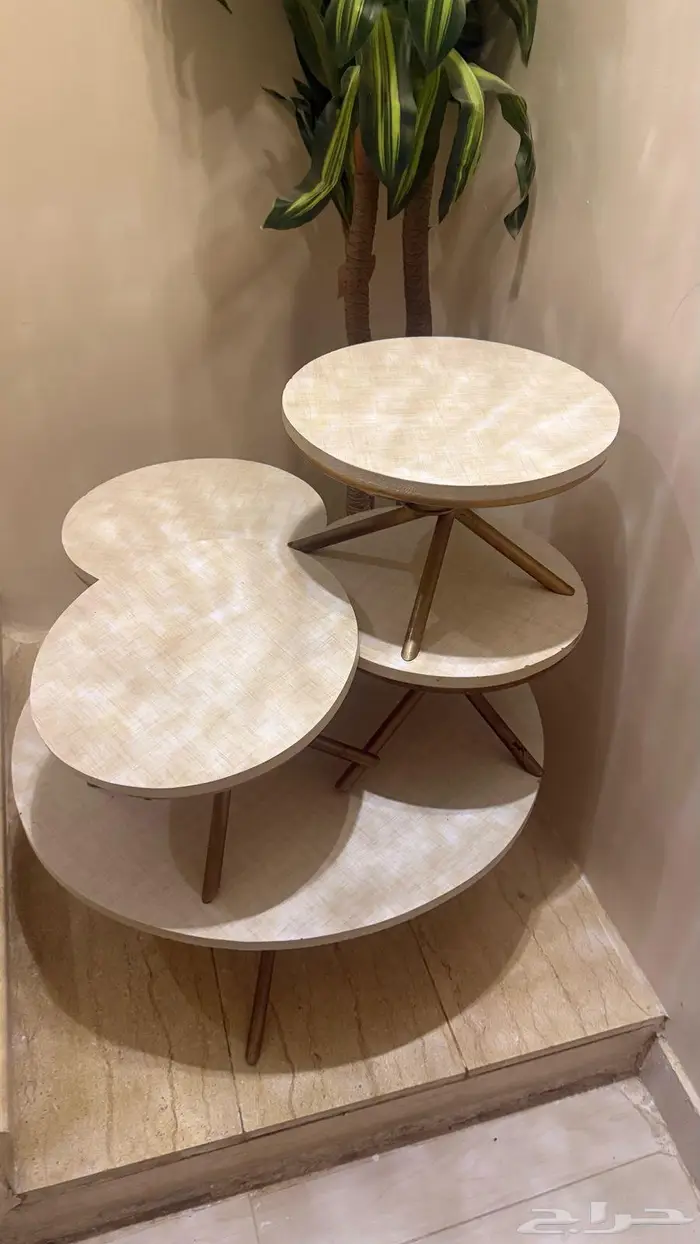 جعرانه حي الفيصل 0