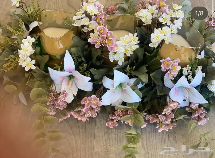 مجموعه جديده من النباتات الداخليه المميزه 18