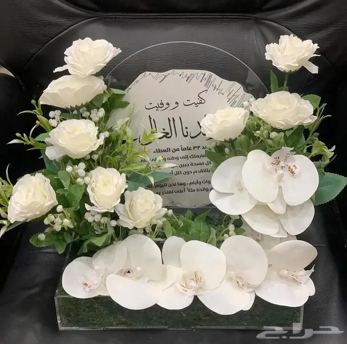 مجموعه جديده من النباتات الداخليه المميزه 5