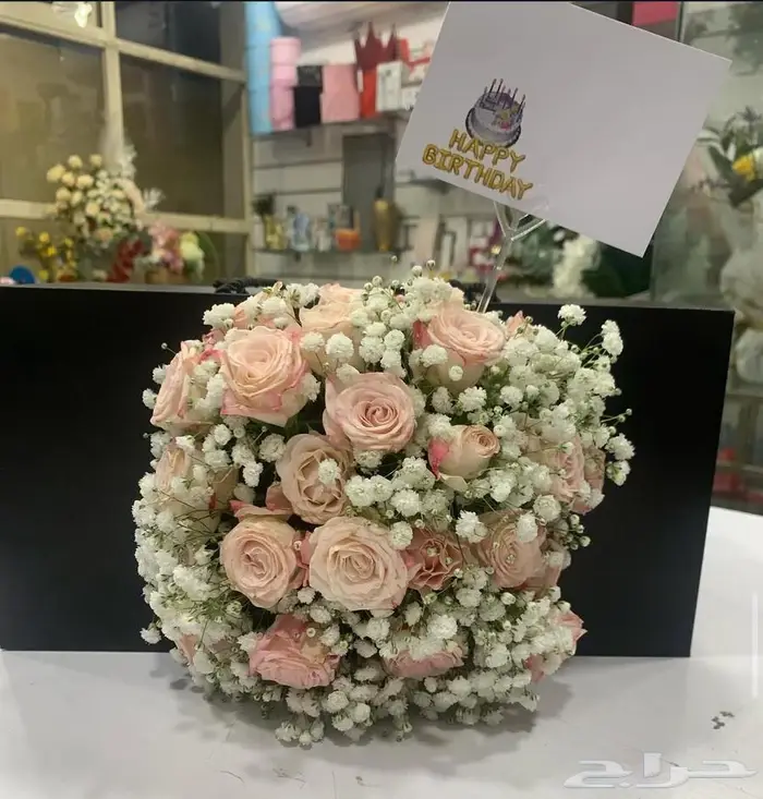 مجموعه جديده من النباتات الداخليه المميزه 15