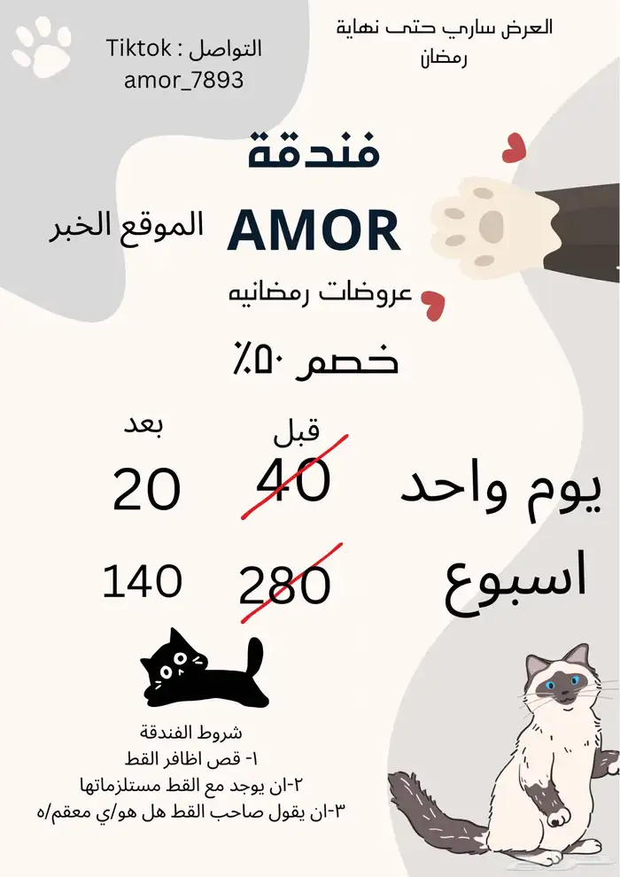 فندقه قطط 1