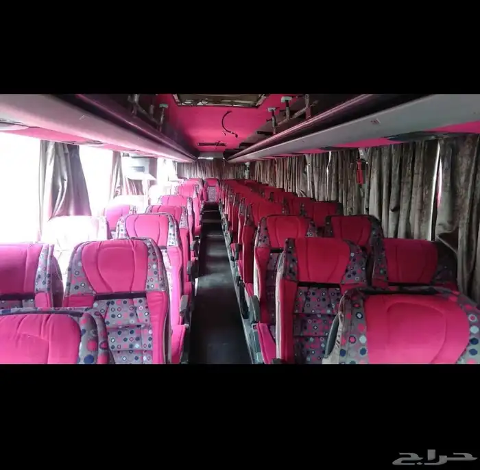 باصات تبوك 2