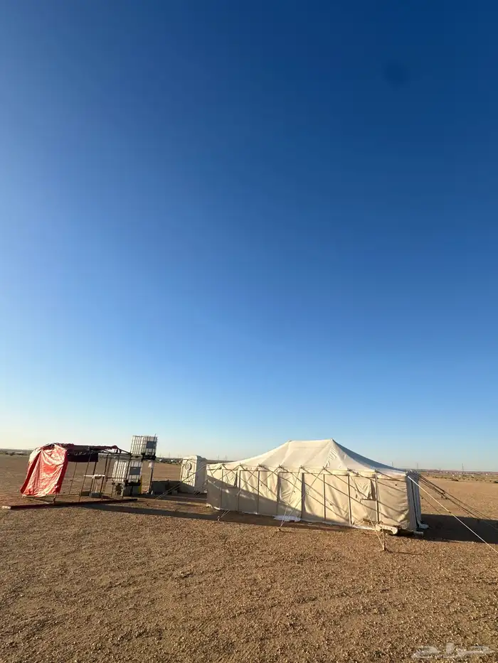 خيمة صباحية 9 5 0