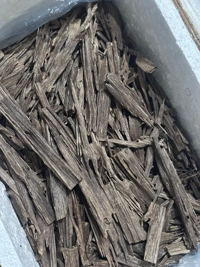 عود هندي 0