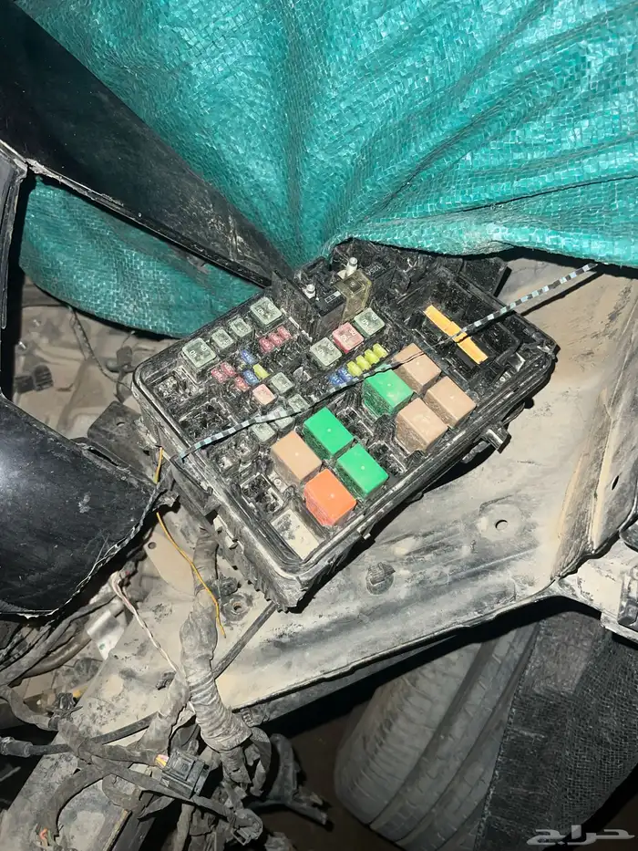 تشليح ريو 2019 5