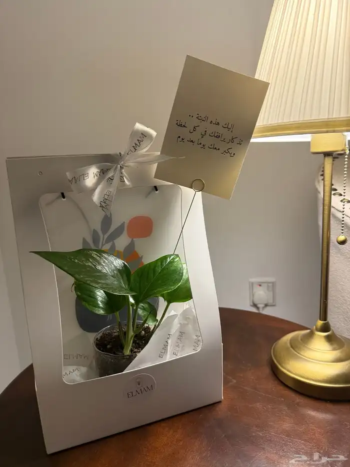 هدية ب45 ريال 2