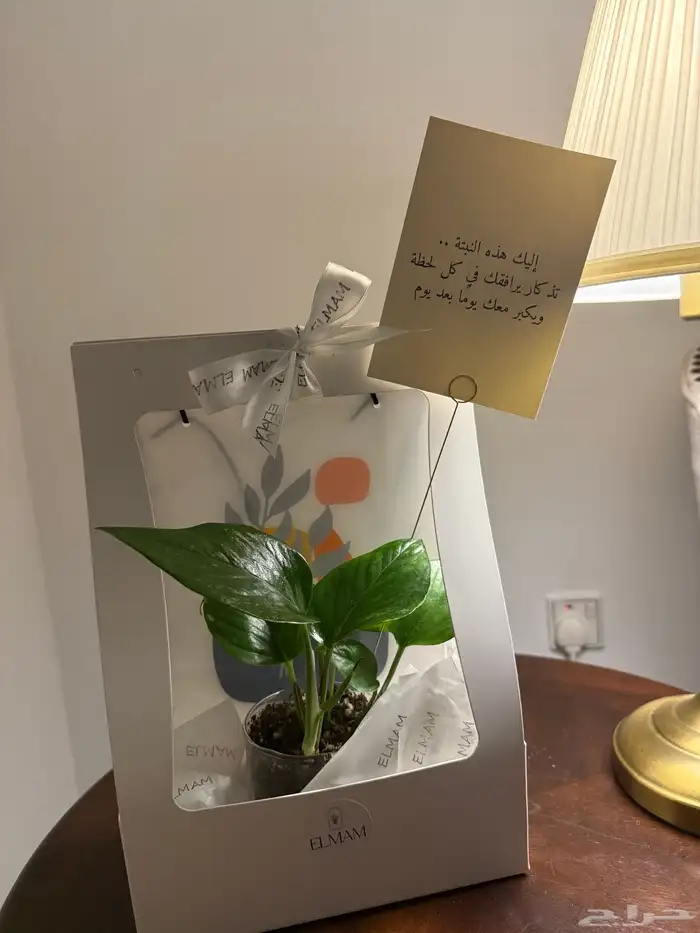 هدية ب45 ريال 0