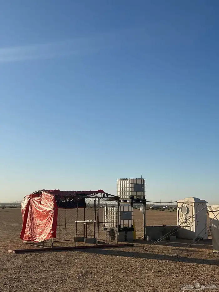 خيمة صباحية 9 5 2