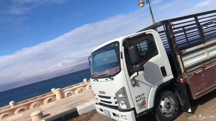 دينا ايسوزو وارد باخشب 2021 للبيع 7