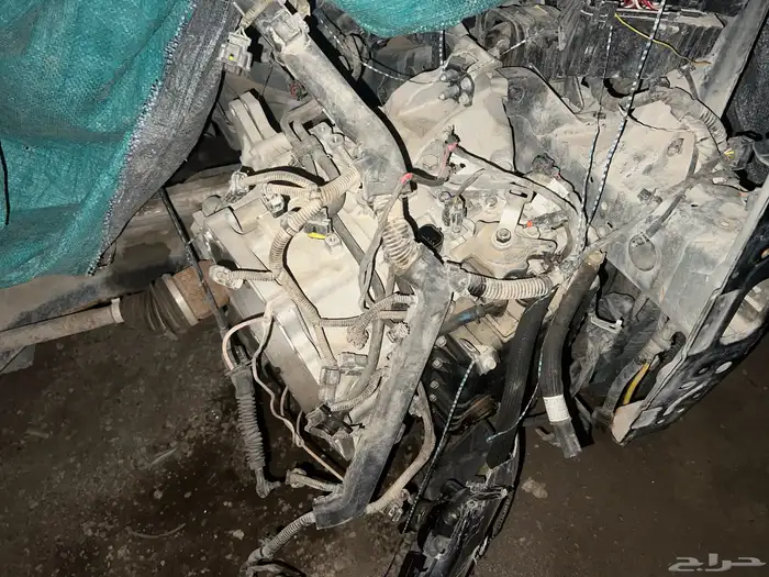 تشليح ريو 2019 2