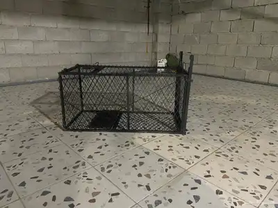 مصيده للكلاب الصغيره وما شابه 0