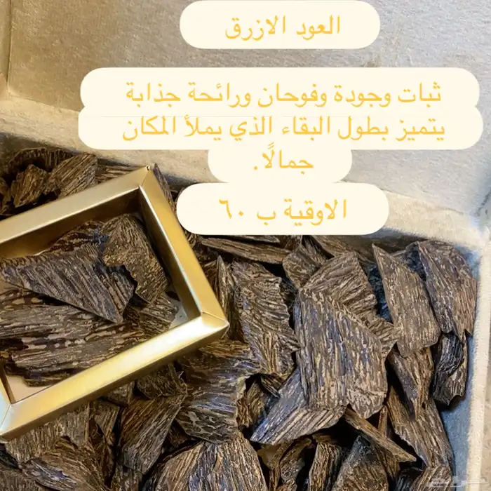 عود العلياء 2