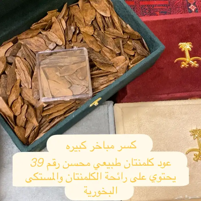 عود العلياء 6