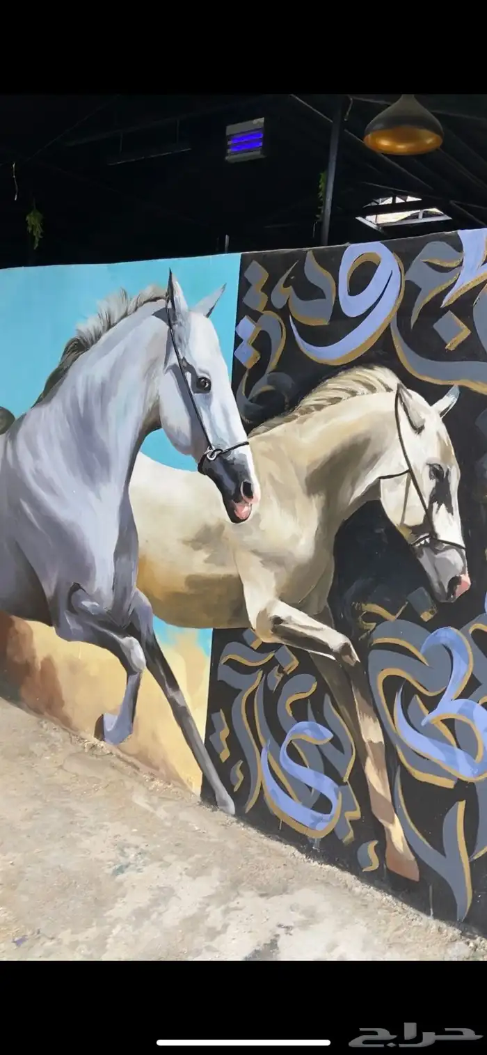 رسام رسامه 22
