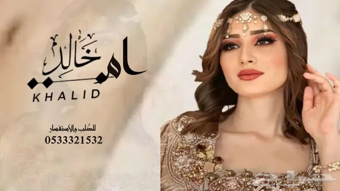 منشد شيلات شاعر جزل 0