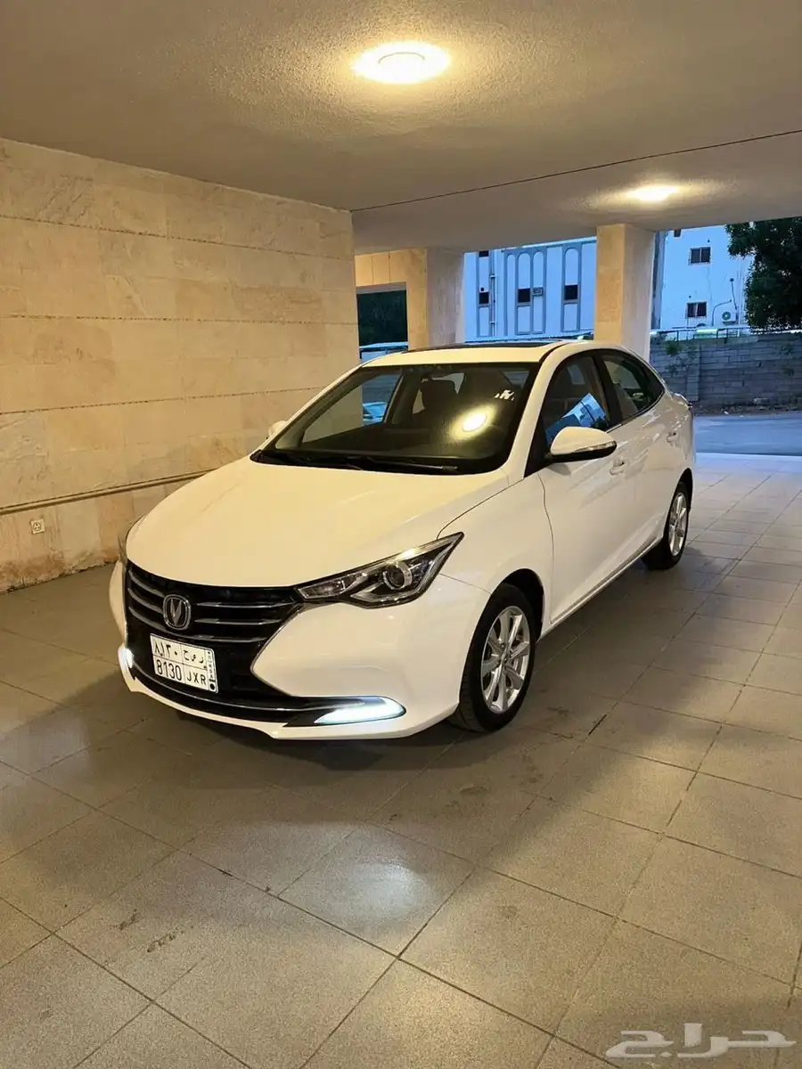 شانجان السفن 2025 1